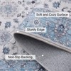 Vanmoos 2x3 Washable Area Rug – Soft, Non-Slip Entrance Rug,