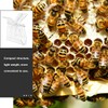 VORCOOL Pack of 5 Beekeepers Queen Bee Catcher Plastic Clip