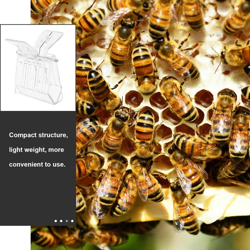VORCOOL Pack of 5 Beekeepers Queen Bee Catcher Plastic Clip
