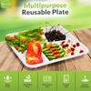 Ryan's Classy Plastic 5 Compartment Plates Disposable, 125 Pack Heavy-Duty