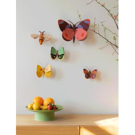 STUDIO ROOF, Wall Art Butterfly, Delias Butterfly, Eco-Friendly & Creative Gift