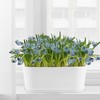 MUKCHAP 12 Pack White Rectangle Flower Plant Pot, 9 x