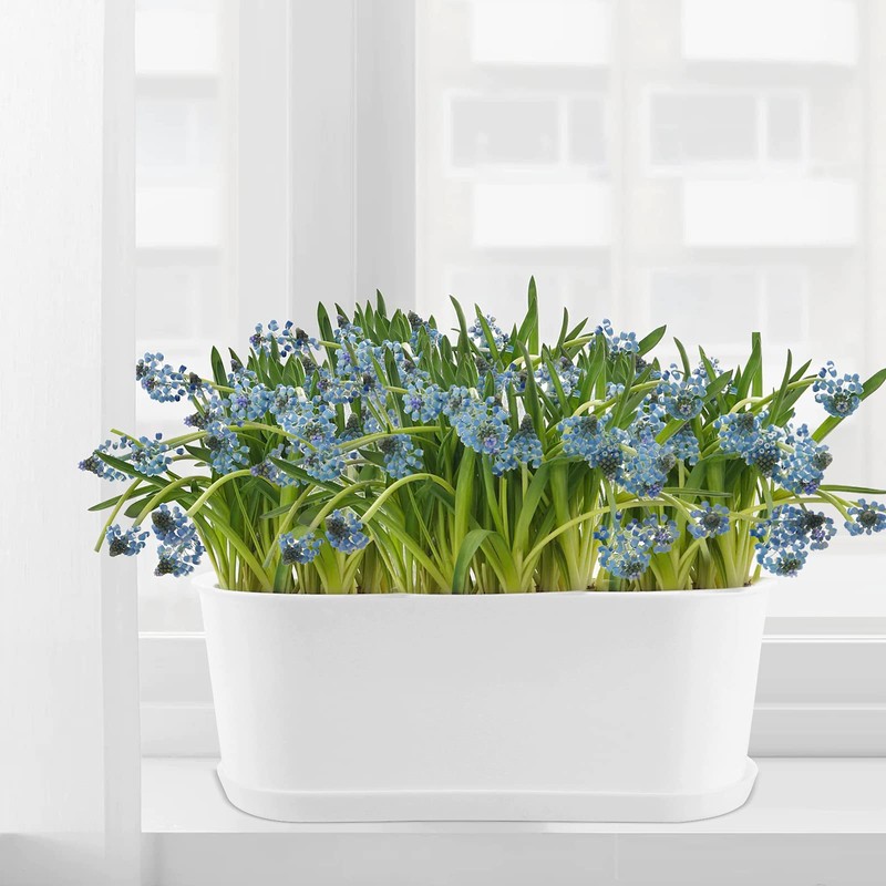 MUKCHAP 12 Pack White Rectangle Flower Plant Pot, 9 x