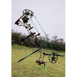 DH Eagleclaw Bow Stabilizer for Hunting and 3D Range Shooting, High Modulus Carbon, Light Weighted (8 inch)