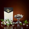 SweetGourmet Premium Chocolate Filled Mints | Arcor Hard Candy |