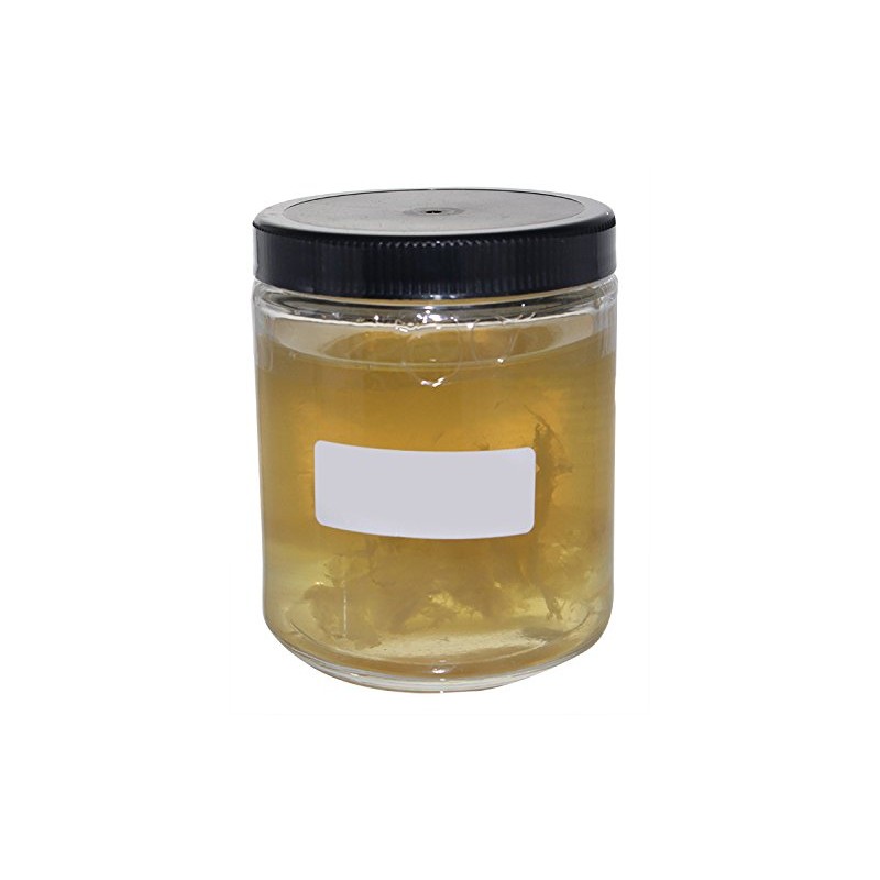 Supreme Vinegar - 3696 Supreme Cider Mother of Vinegar Yellow