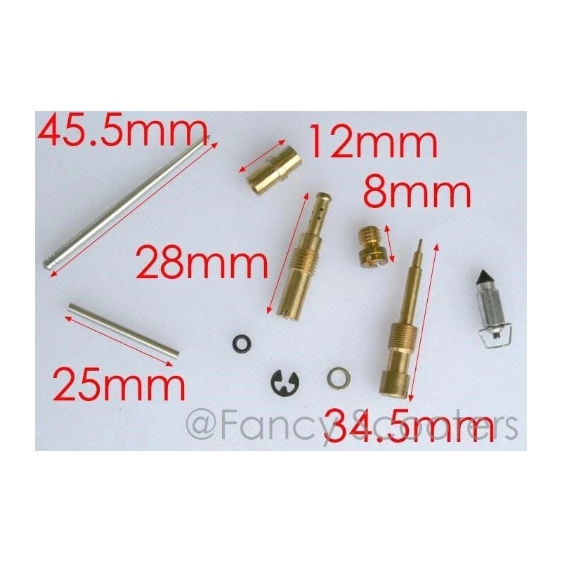 FANCY SCOOTERS Coolster 150cc 3150DX4, 200cc 3200,ATV Carburetor Kit with