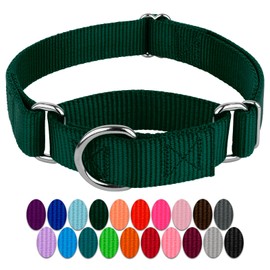Country Brook Petz Martingale Dog Collar - Heavy-Duty Training Collar with No Buckle - Service Dog Collar for All Pups - Vibrant, Colorful Collection (Green, 1 Inch, Large)