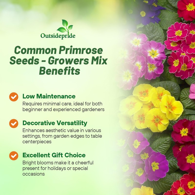 Outsidepride Danova Grower Mix Common Primrose Seeds - 50 Pcs