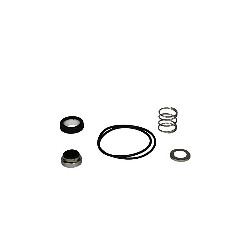 Wayne 64048-WYN1 Shaft Seal & Gasket for PLS, Black