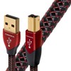 AudioQuest Cinnamon USB A-B 3 M
