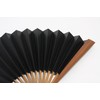 Hasegawa Folding Fan, Large Size, Kyoto Artisans Hand Made Fan,
