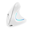 2.4G BT Dual-mode Wireless Vertical Mouse Rechargeable Mouse RGB streamer