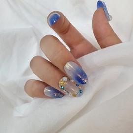 Powder Gras Seashell Handmade Nail Tips - Long Point / 파우더 그라 조개 수제네일팁 - 롱포인트