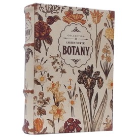 Keystone Antique Look Empty Box Botany Size: Approx. W 5.7 D 1.8 inches (4.7 cm), H22 IN054599