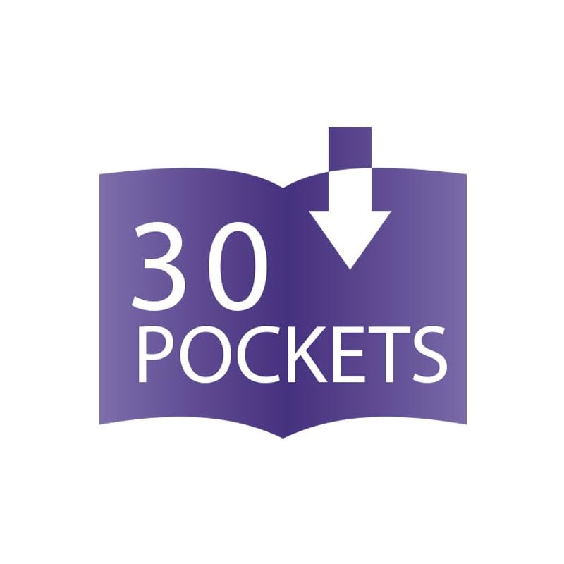 Pentel Recycology Display Book with 30 Vivid Pocket - Blue