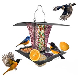 LUJII 6-in-1 Solar Bird Feeder with RGB String Lights, Hand Blown Glass, 2 Removable Trays for Bird Seed, Suet Ball, Mealworm, Oriole Orange Fruit, Jelly or Water, Purple