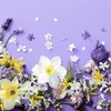 20 Cocktail Napkins Spring on Purple Flowers Easter Table Decoration