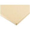Connex COX781330 Plastering Float of Pu, Beige, 20 x 36