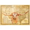 Texas Map Store 1876 Great Texas & Southwestern Cattle Trails