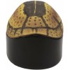 Nautical Reptile Realistic Spotted Tortoise Shell Decorative Box Figurine 6.25"L
