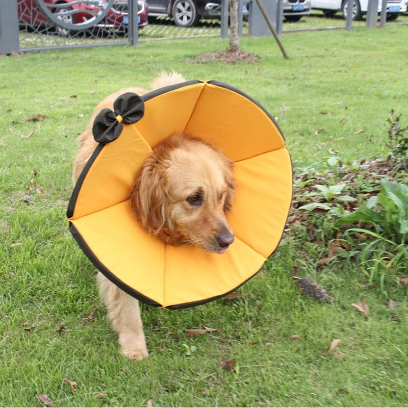 Komii Elizabeth Collar for Dogs and Cats, Extra Large, Lightweight,