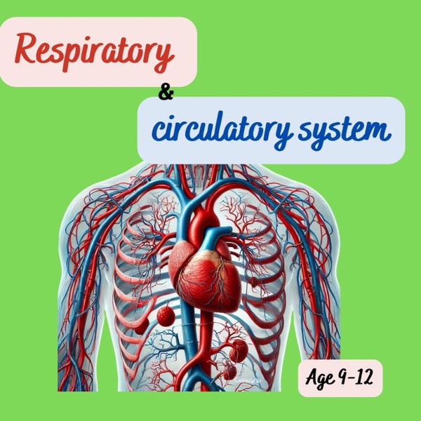 Respiratory and circulatory system: Circulatory System, Parts of the Heart,