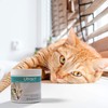 maxxipaws maxxiUtract Urinary and Bladder Supplement for Cats to Help