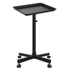Salon Tray on Wheels, Metal Feet Salon Tray Cart, Salon