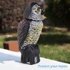 Horned Owl Decoy and 360° Rotating Head Owl Statue to