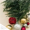 Live Dark Green Cypress Tree - Tabletop Decoration - 12"
