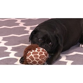 Gazoos Gazoos Laughy Giraffe