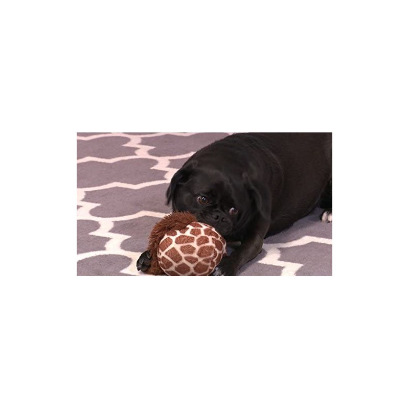 Gazoos Gazoos Laughy Giraffe