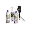 #1 All Systems Professional Grooming Kit for Cavalier King Charles