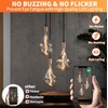 ALAMPEVER Dimmable LED Decorative Oversized Edison Bulbs 25W, 2200K Warm