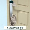 5W Knob Lock Door Lock for Cats, Dogs, and Pets