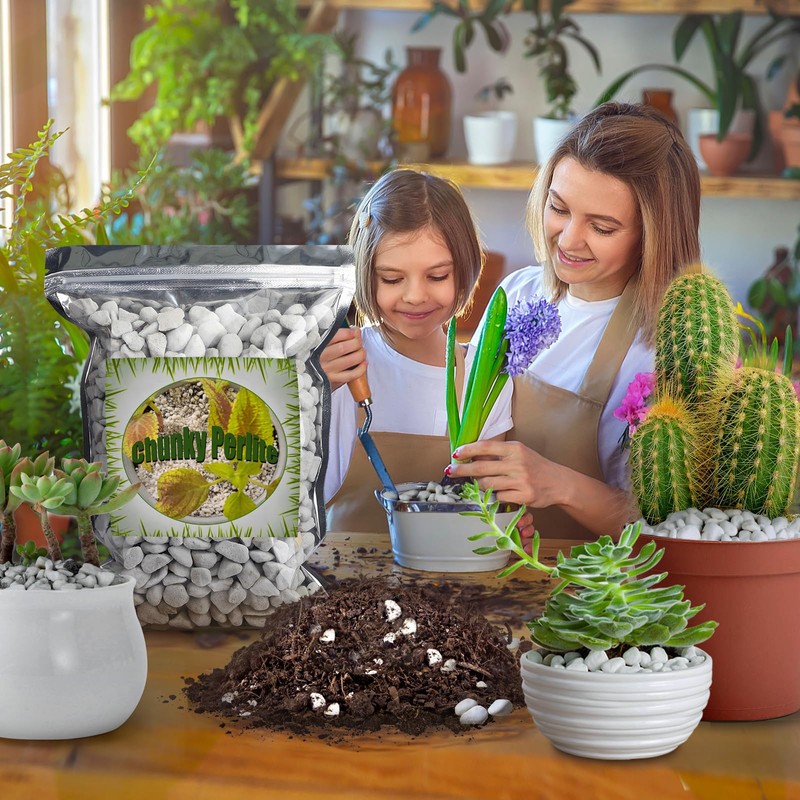 Doter Organic Chunky Perlite for Plants (0.4"-0.8" in Diameter), Natural