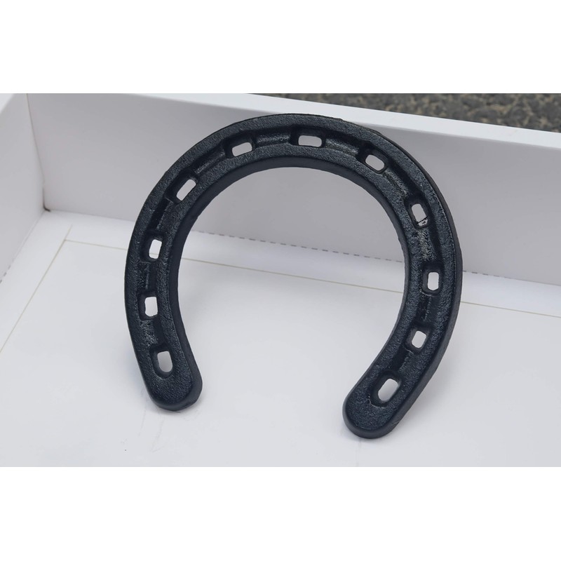 Lucky Horseshoe Black,Cast Iron Horseshoe Wall Decor