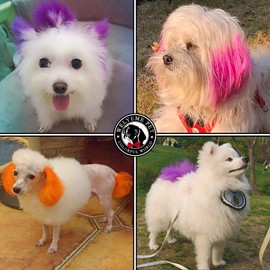WELYEME Dog Hair Dye Green, Permanent Pet Hair Dye, Professional Dog Safe Hair Dye, Bright Color for Dogs and Horses