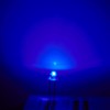 CHANZON 100 pcs 5mm RGB Multicolor Fast Blinking (Multi Color