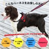 Pet Ground Dog Harness Cute, Stylish, Torso for Walks, Small