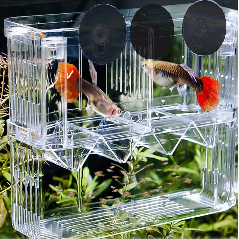Tiberham Fish Breeding Box, Acrylic Floating Fish Hatchery Isolation Box,