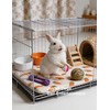Rabbit Toys 10-Pack with Jingle Bells, Interactive Cage Enrichment Balls