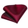DiBanGu Red Plaid Tie Woven Classic Formal Men's Necktie &