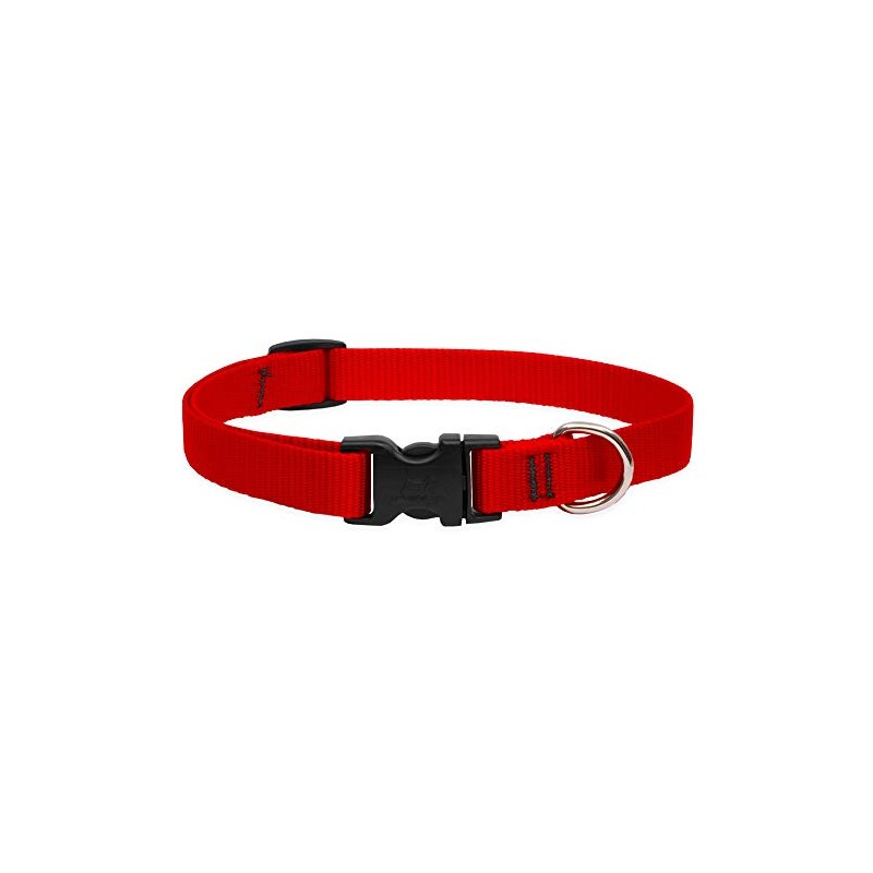 LupinePet Basics 3/4" Red 9-14" Adjustable Collar for Small Dogs