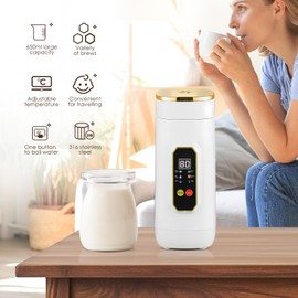 650ml Portable Kettle, Travel Electric Kettle, Portable Water Boiler 316 Stainless Steel with Auto Shut-Off & Boil Dry Protection, Small Electric Kettle, Heater with 6 Temperature Control, BPA-Free
