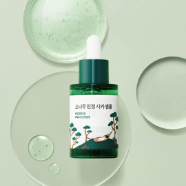 Round Lab Pine Soothing Cica Ampoule 30ml / 라운드랩 소나무 진정 시카 앰플 30ml