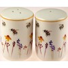 Busy Bees Salt & Pepper Cruet Set by Jennifer Rose