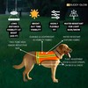 Reflective Dog Vest. Hi Visibility Blaze Orange Hunting Safety Vest