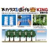 Crow Why Escape King, Set of 10 Crows, Repel Crows,